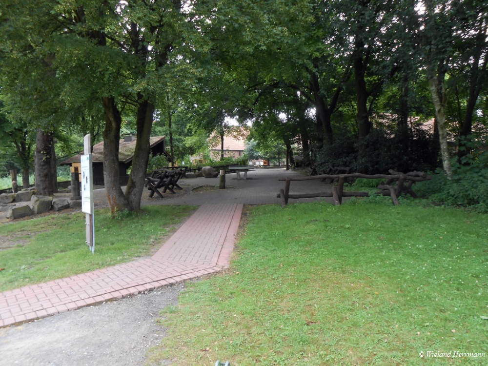 Schwarze Heide
